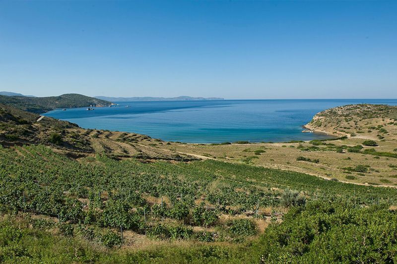 Ο γαστρονομικός παράδεισος της Χίου